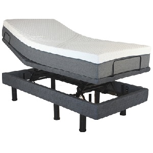 Golden Passport Hi Low Adjustable Twin XL Bed Base Only